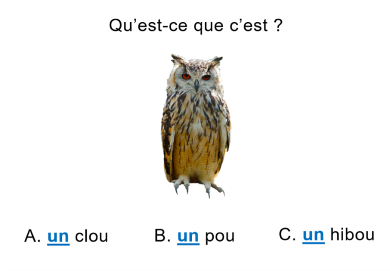 Poésie « les hiboux » (Robert Desnos) – Classe de Selin